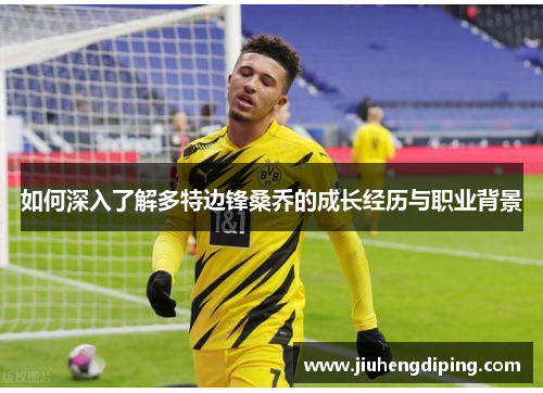 如何深入了解多特边锋桑乔的成长经历与职业背景